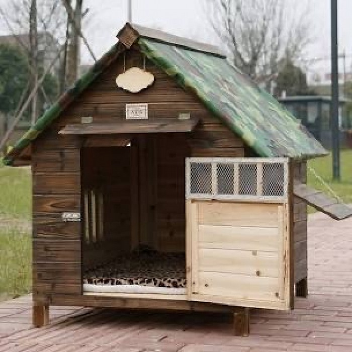 Dog’s house